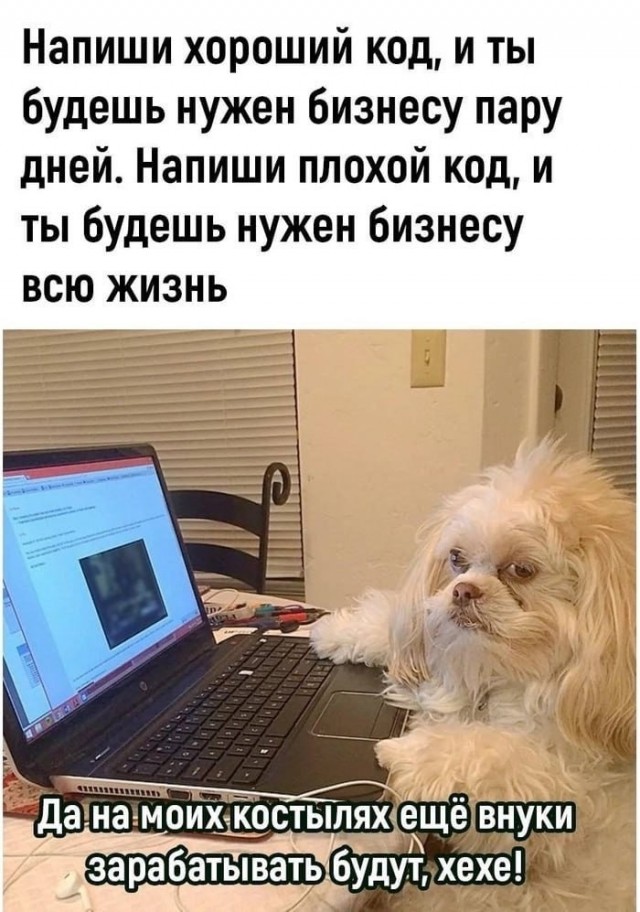Картинки для деградации 30 (разной степени свежести)
