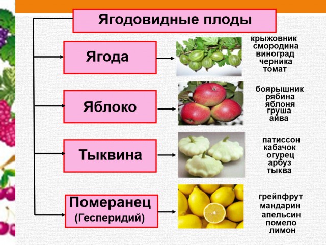 Беда пришла, откуда не ждали
