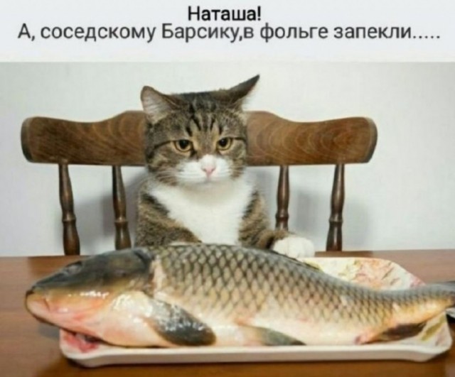 "Лучше быть собакой, чем женщиной в дагестанской семье"