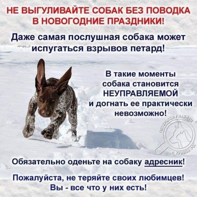 Веселые картинки в последний понедельник уходящего года (29.12)