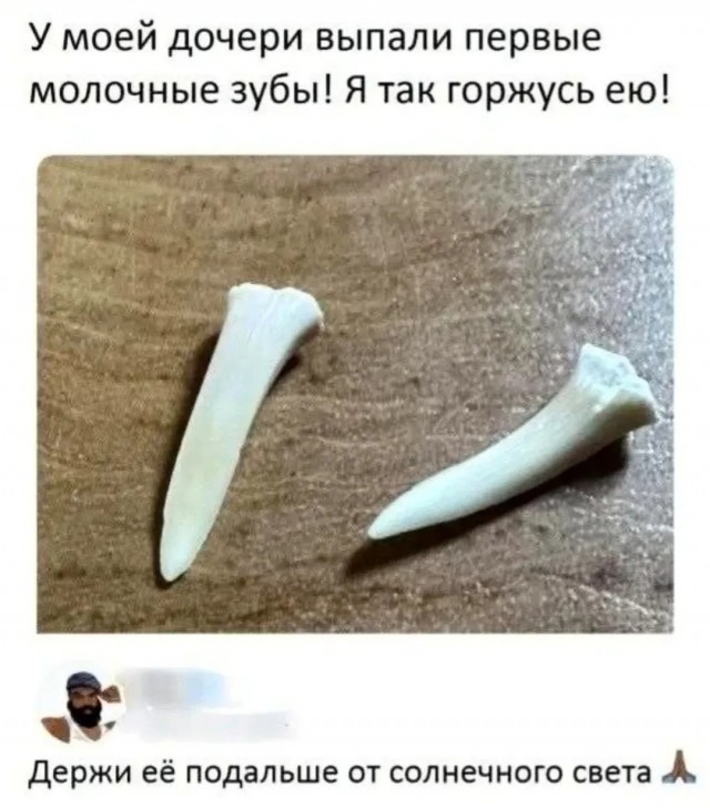 Так себе картинки 22.03.26