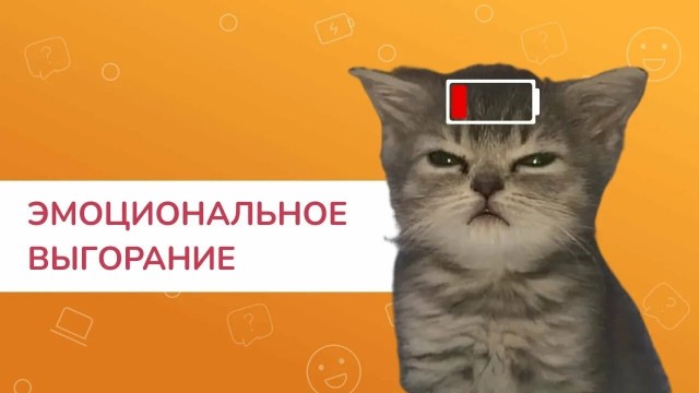 Как дальше жить.?