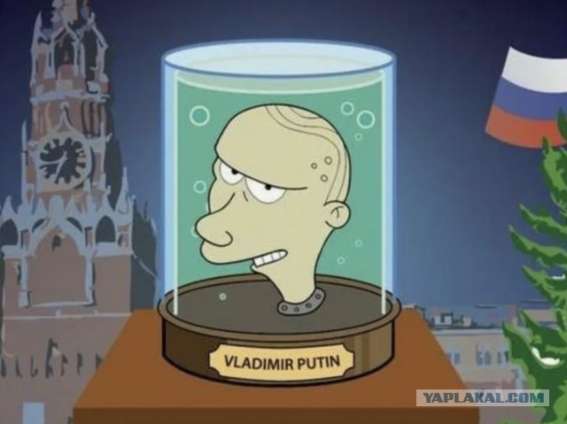 Можно ли человеку пересадить мозг?