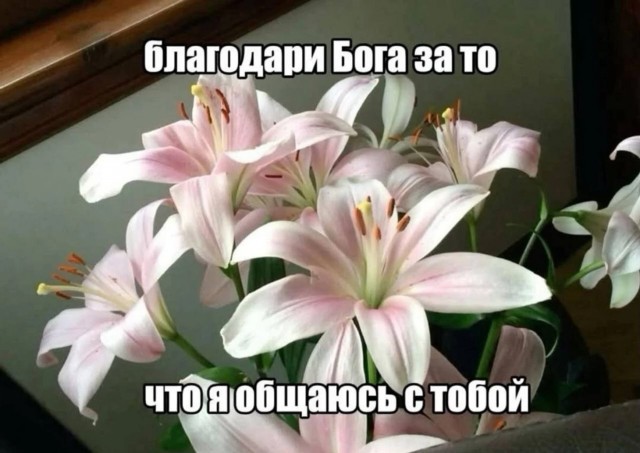 Жена футболиста