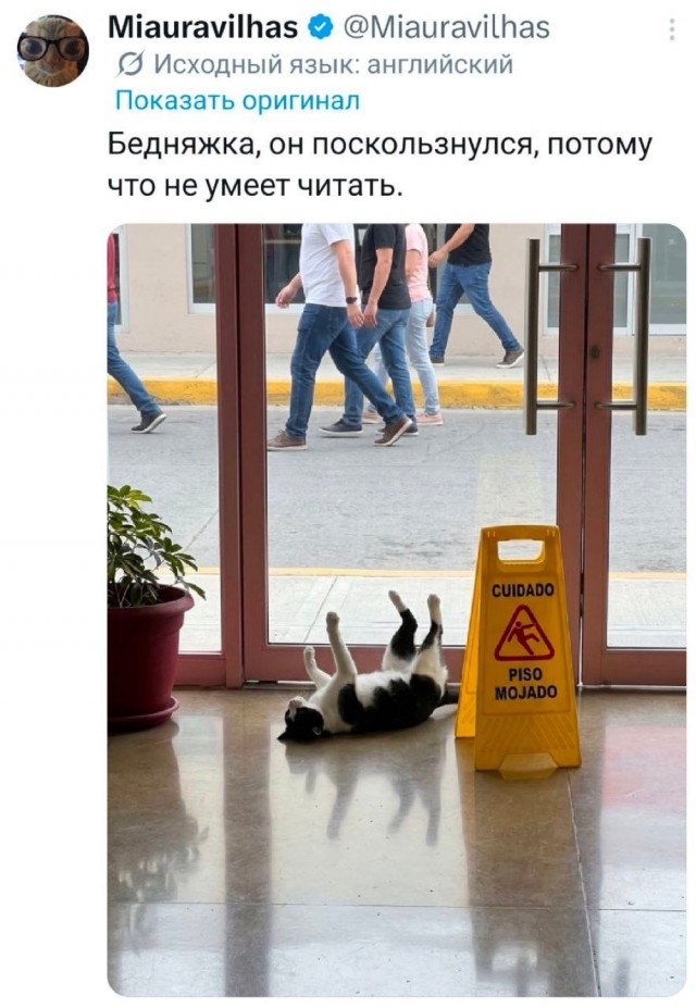 Среды картинки