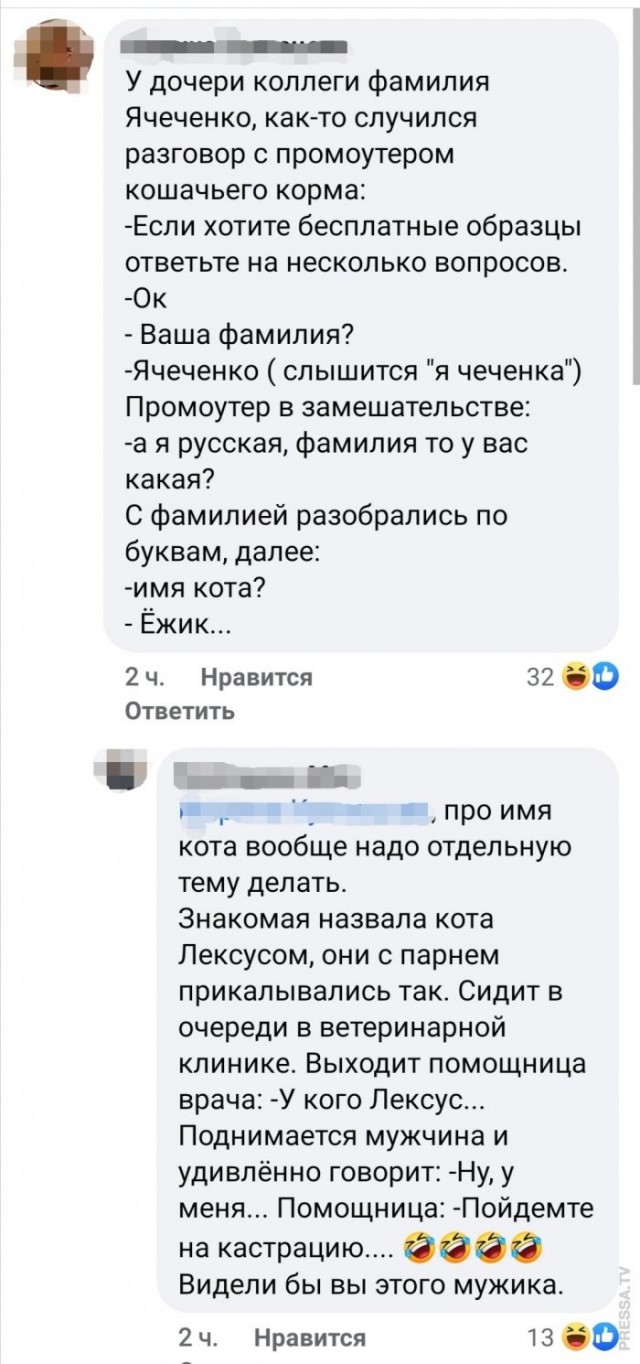 Веселые картинки в понедельник (25.05)