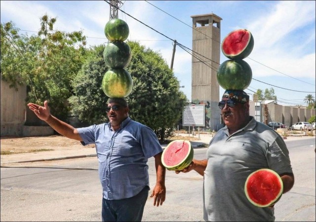 Любопытные картинки