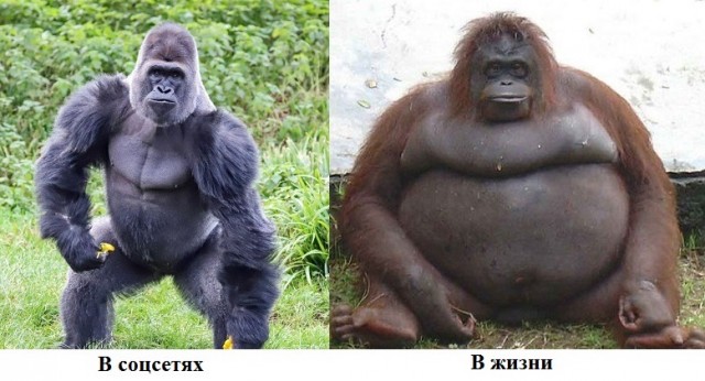 Веселое настроение в картинках 27.07.26