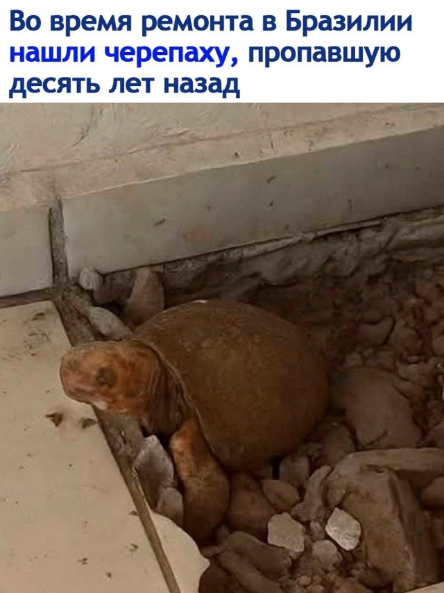 Так себе картинки 22.08.26