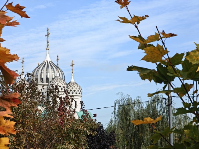 Все краски осени