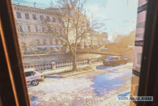 В Петербурге спилили легендарный тополь из Call of Duty: Modern Warfare