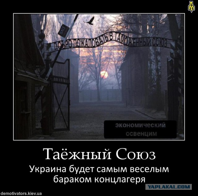 Янукович не подписал ассоциацию с ЕС