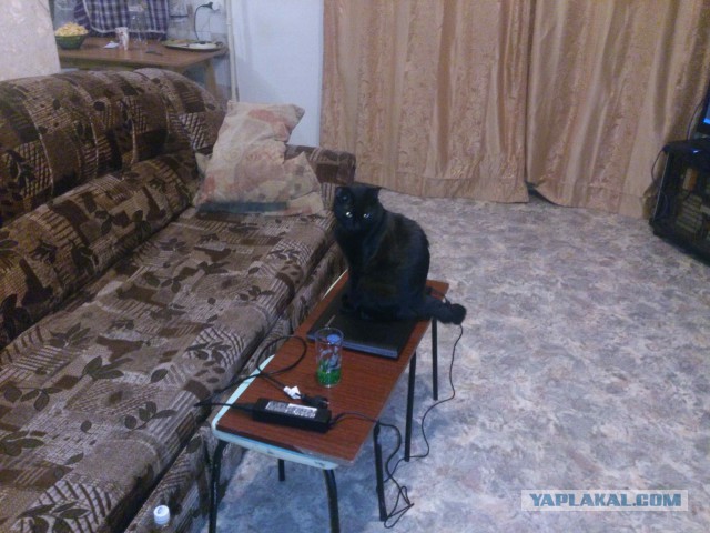 Будни Владивостокского эникейщика.
