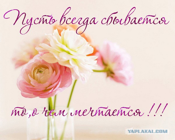 Срочно кровь для новорожденной! 1(-) Москва