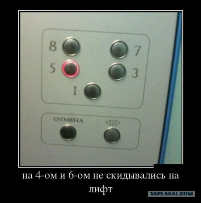Смешные картинки с подписями 2