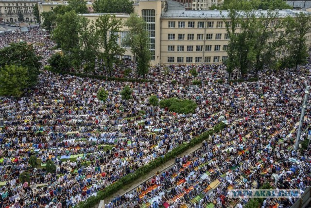 Домой я сегодня опять не попаду!