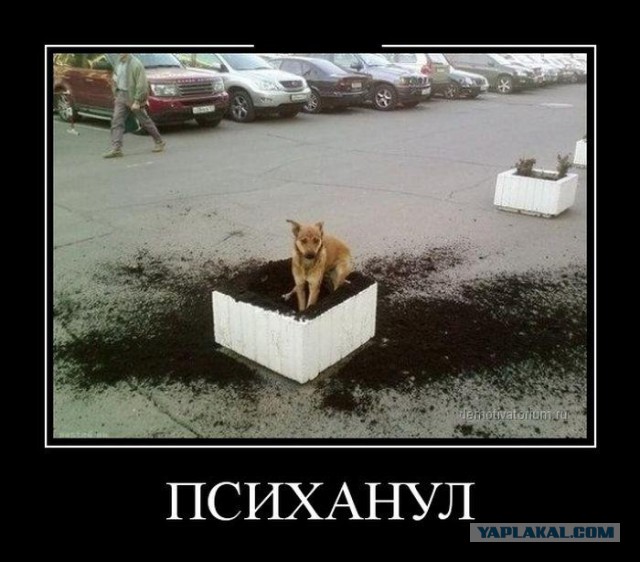 С миру по нитке. Демотиваторов чуть