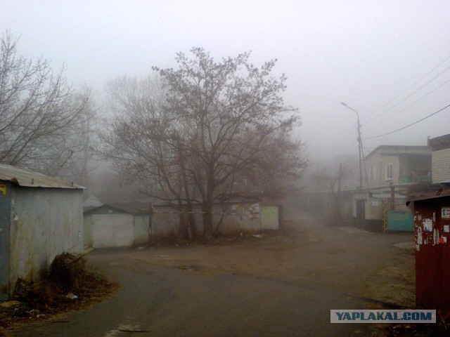 Кто рано встаёт...