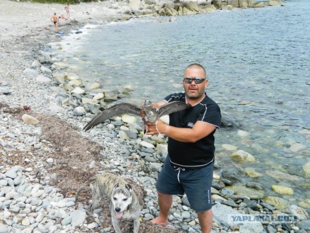 Бухта Теляковского