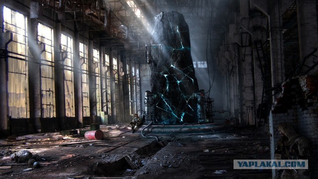 «Слоновья нога» в зоне отчуждения ЧАЭС