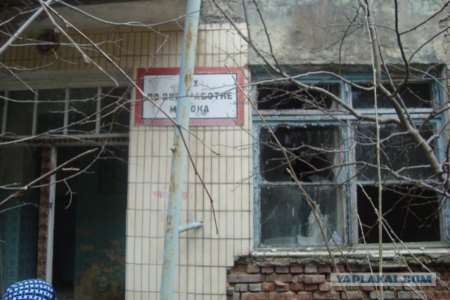 Выходные на свежем воздухе