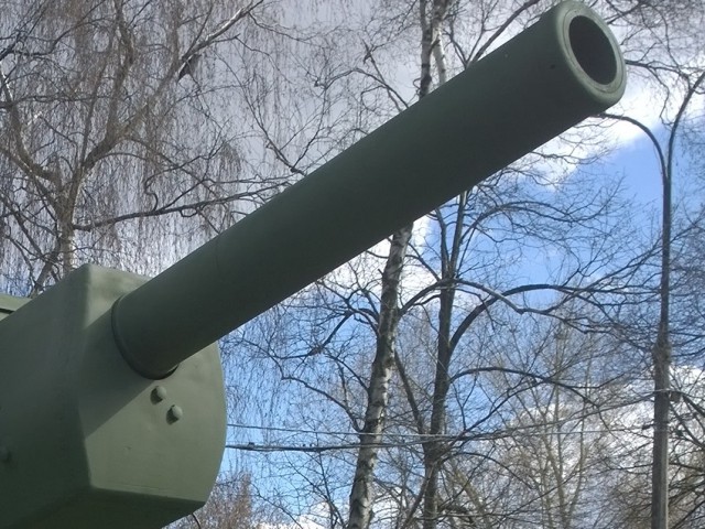 Wargaming 24