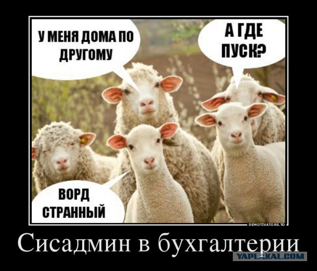 История про админа и бухгалтерию