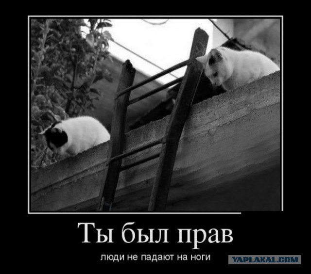 Подборка демотиваторов