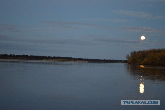 В дальнее замкадье и безасфальтье
