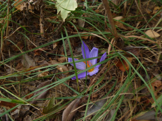 Путешествие автостопом из Донецка в Севастополь.