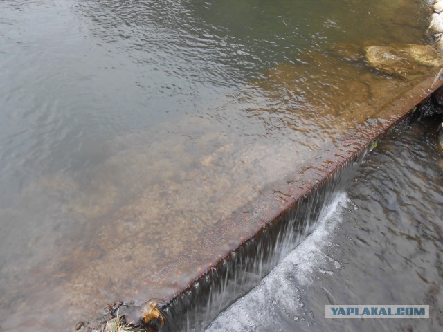 Рыбная ферма. Эквадор