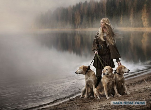 Собакочетверг