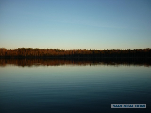 Я узнал, что у меня есть огромная семья