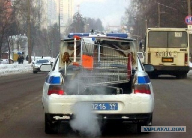 Автоприколы