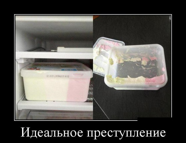 Смешные картинки с надписями