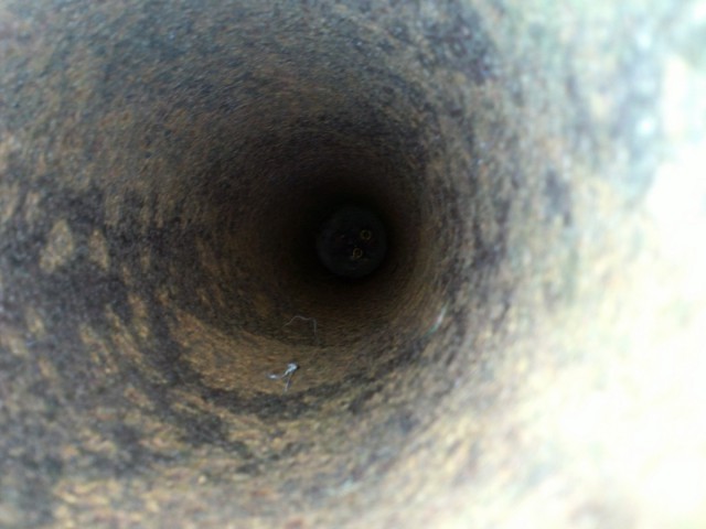 Скоро во всех гнёздах страны!... и не только