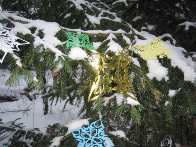 Конкурс Новогоднего Творчества 2008!