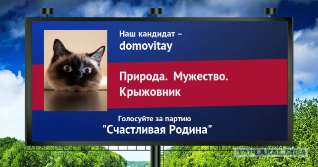 Стань кандидатом от ЯПа