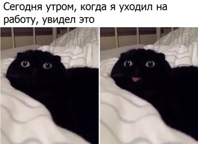 Отупляющие приколы