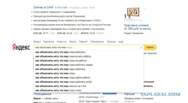 ДОКОЛЕ? Или как заставить кота приносить доход в семью