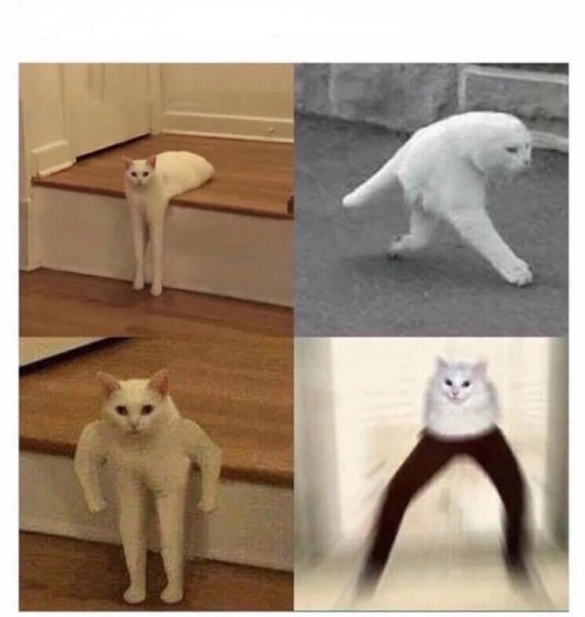 Тупанём?