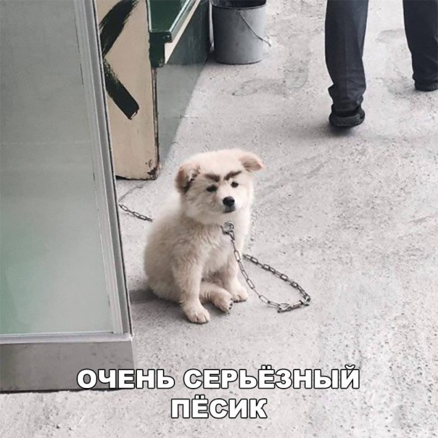 Глазки от работы отрывайте, на картинки повтыкайте!