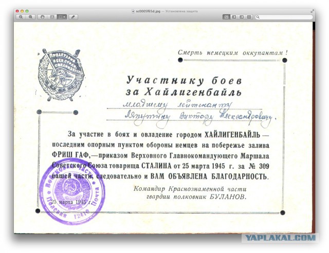 Бессмертный полк ЯП