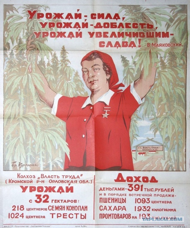 Сегодня суббота, а значит - никакой деградации. Ударим плакатом по морде неадеквата!