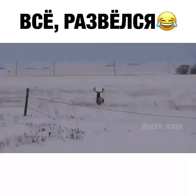 Измена жены и ее последствия для мужа