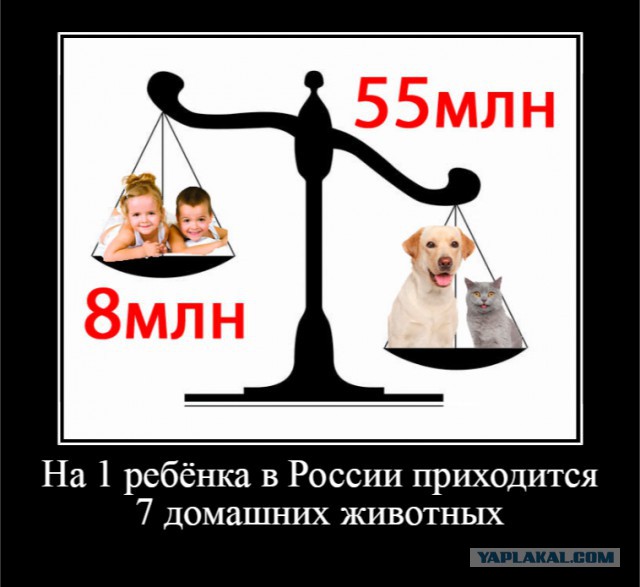 Свежие мемы и демотиваторы