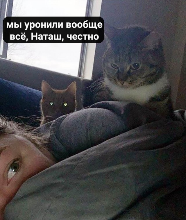 Каждое. "Доброе". Утро
