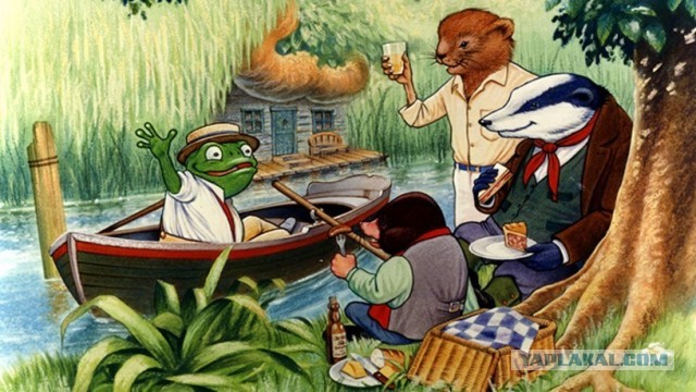 Я не знаю, ребят, тут махач какой то!