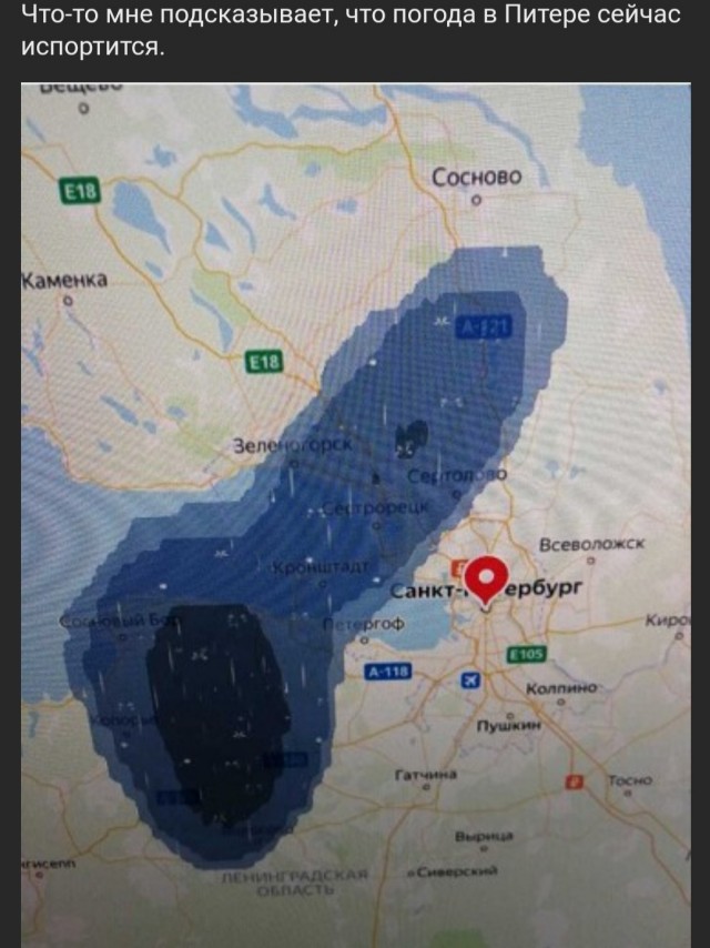 Бредзона 18.06.2020