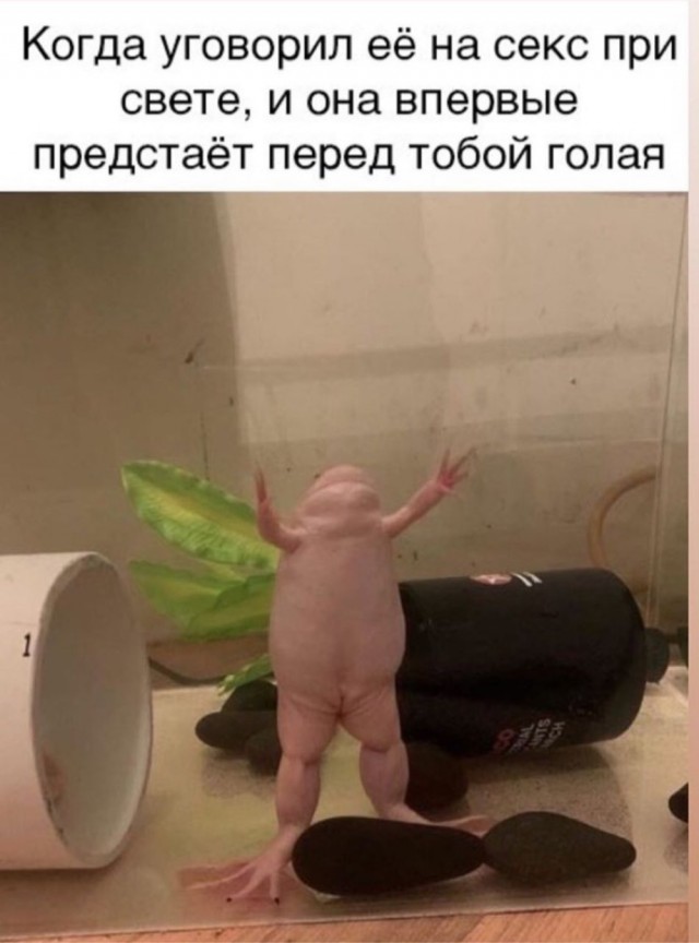 Немного картинок для настроения 23.07.20